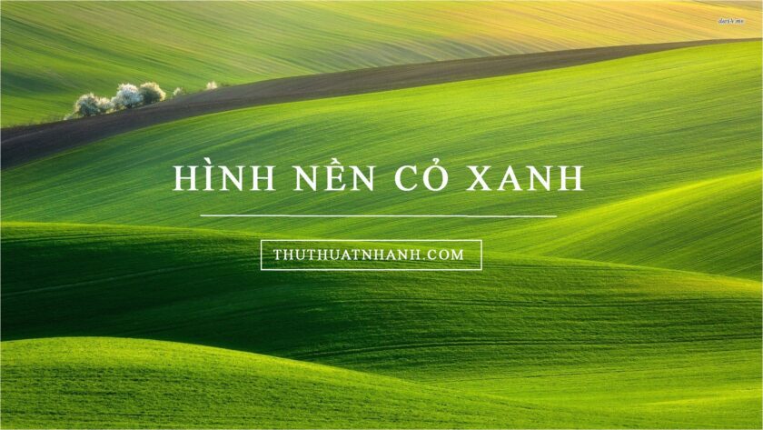 hình nền cỏ xanh