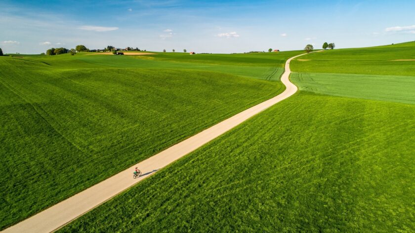 hình nền con đường giữa đồng cỏ xanh