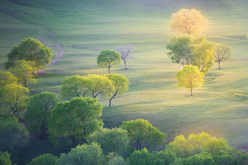 hình nền macbook thiên nhiên trên thảo nguyên