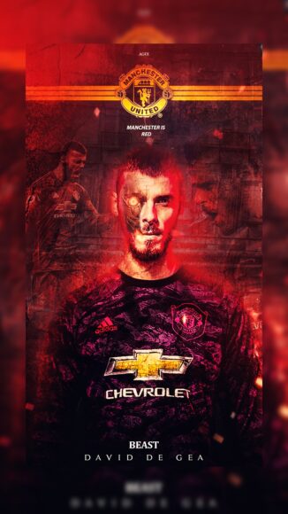 hình nền manchester united về David De Gea