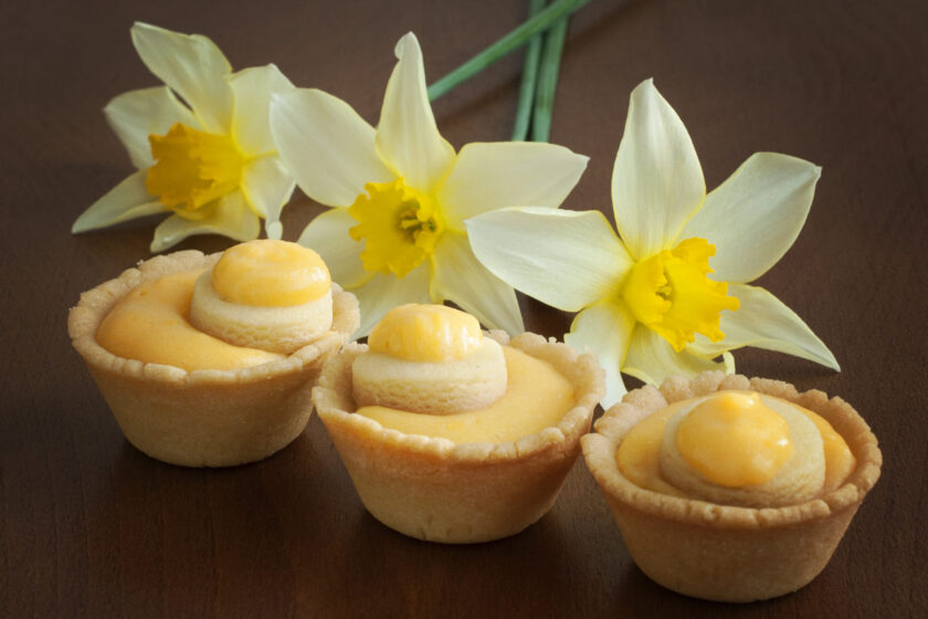 hình nền màu vàng của bánh trứng cùng hoa