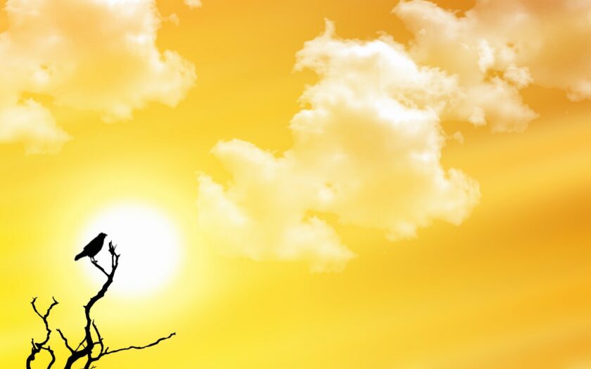 hình nền màu vàng đẹp về bầu trời