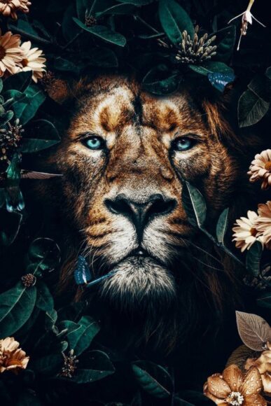 hình nền sư tử và hoa
