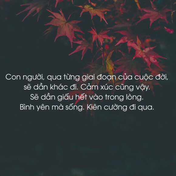 quotes buồn và tâm trạng