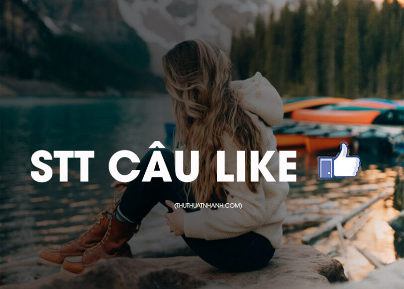 stt câu like