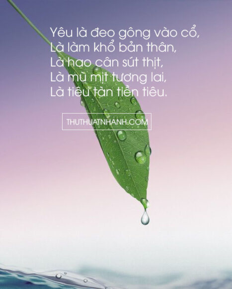 stt câu like về cuộc sống