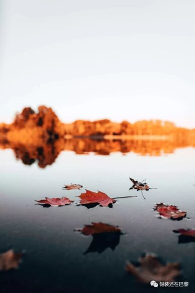 tải hình ảnh mùa thu