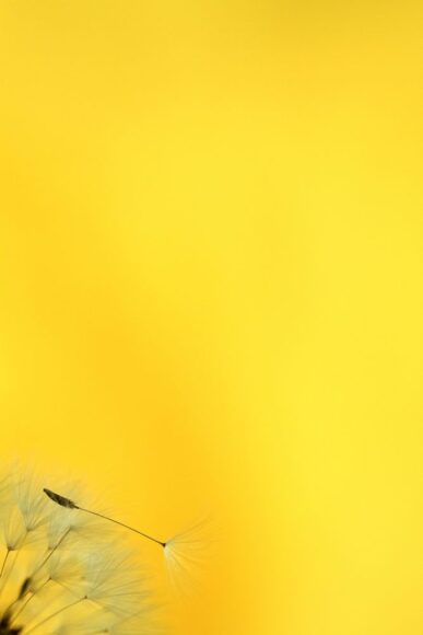 tải hình nền màu vàng đẹp