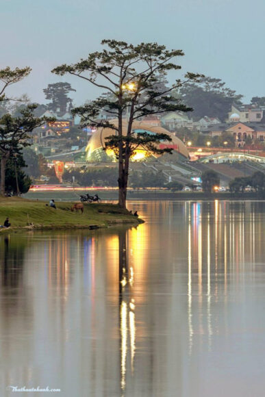 Hình ảnh Đà Lạt đẹp