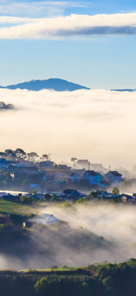 hình ảnh đà lạt sương khói mờ ảo