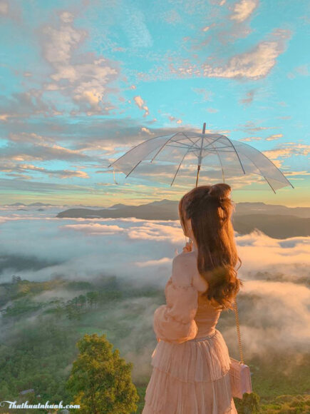 Hình ảnh Đà Lạt sương mù mộng mơ