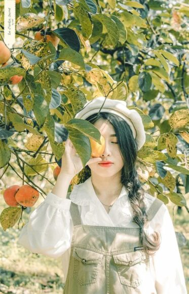 hình ảnh đà lạt thu hoạch vườn hồng