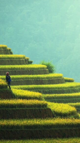 hình ảnh làng quê việt nam thanh tịnh