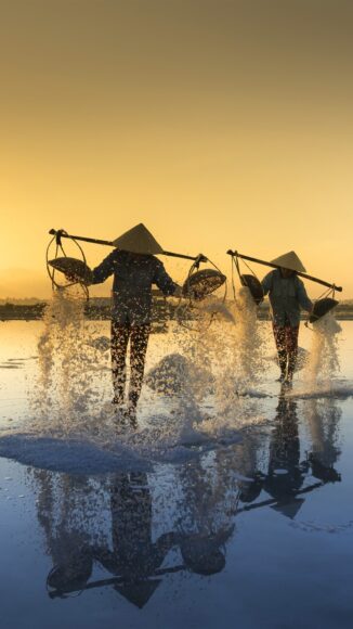 hình ảnh làng quê việt nam trong ánh hoàng hôn