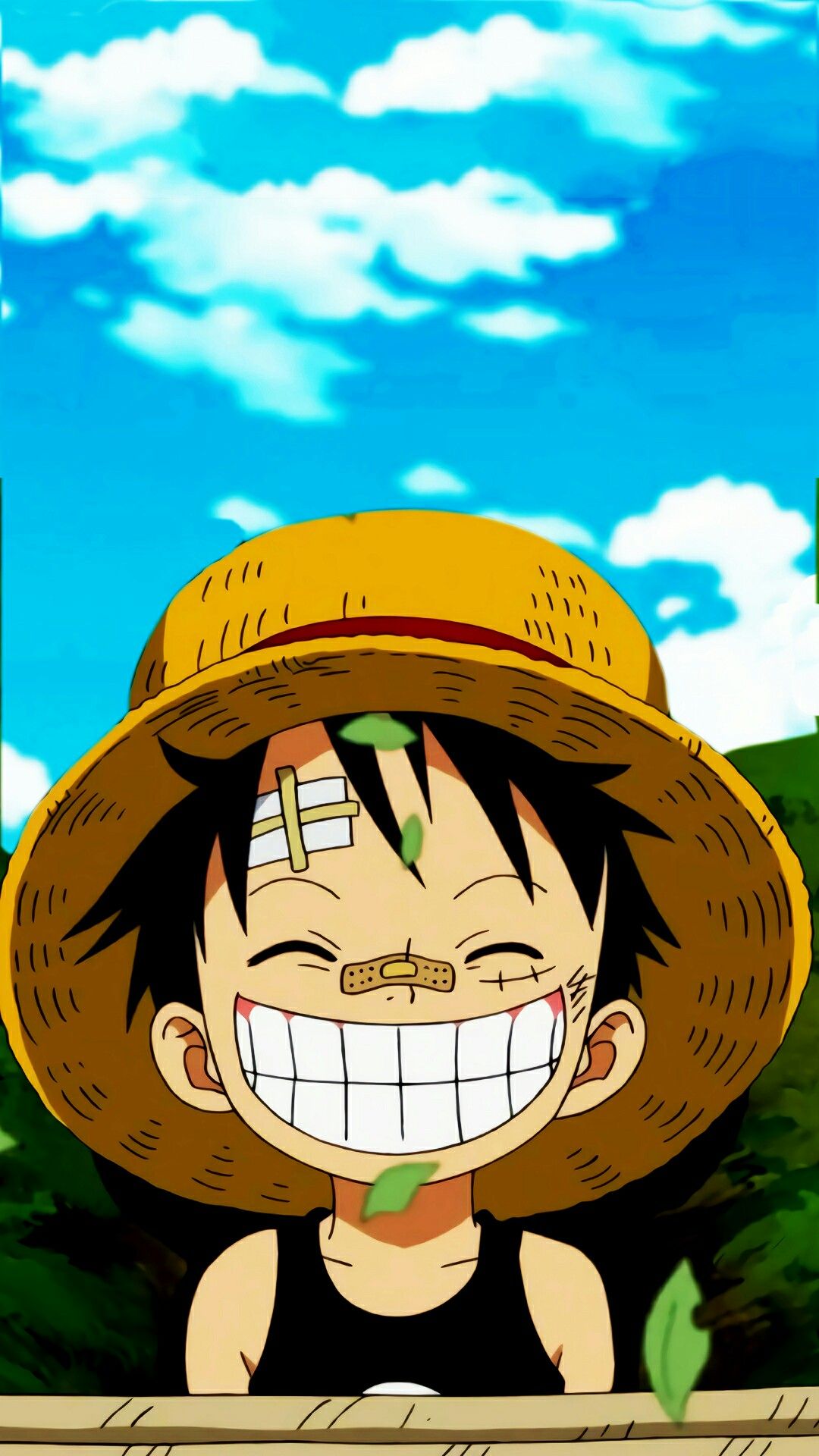 Hình ảnh One Piece tinh nghịch và đáng yêu nhất dành cho fan hải tặc