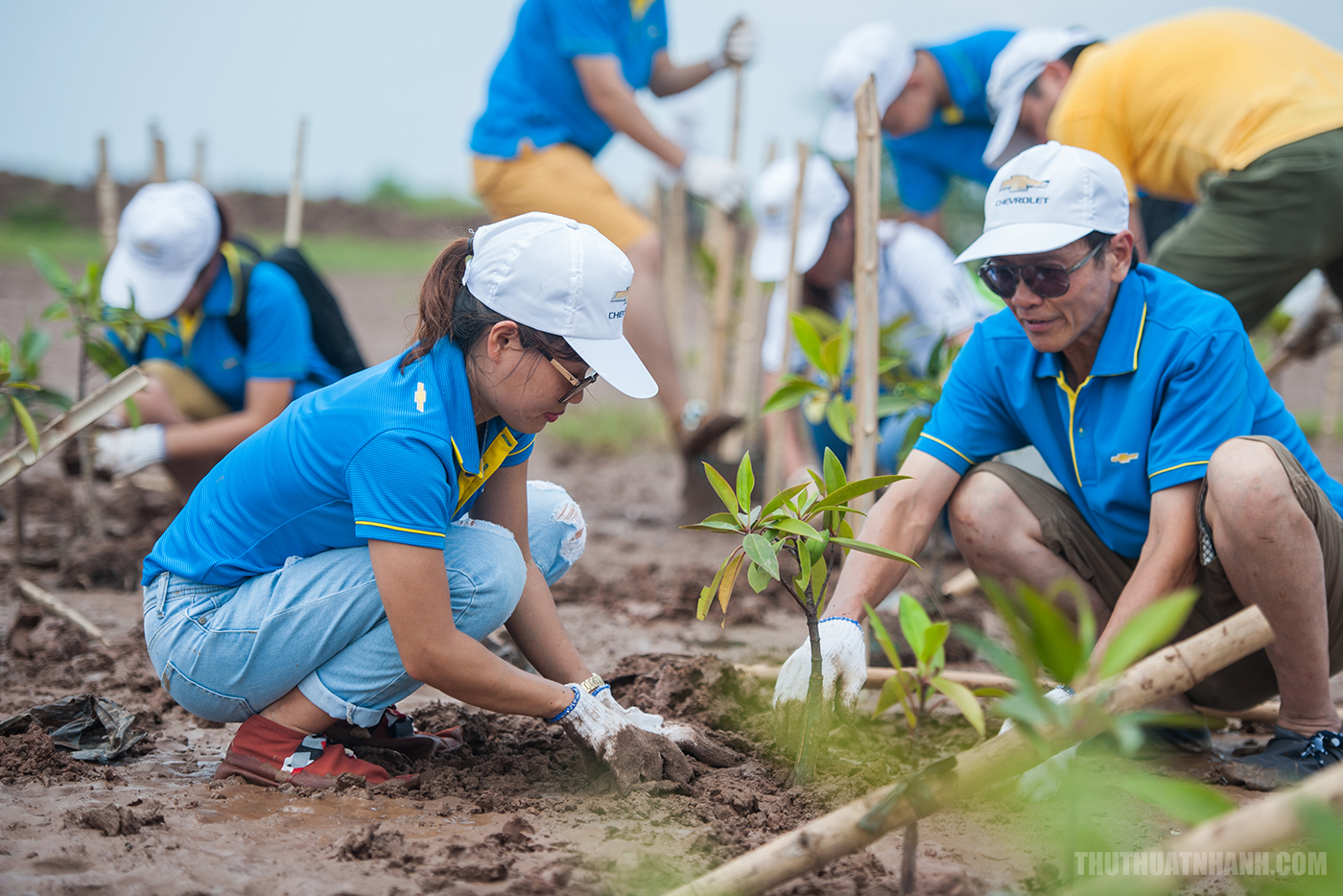 Chiến dịch sống xanh là nỗ lực hữu hiệu của con người để giúp cho môi trường sống trong lành hơn. Hình ảnh liên quan sẽ cho bạn thấy bộ mặt mới của những khu vườn, các công viên xanh mát với “màu xanh” của cây cối giúp cho cuộc sống của chúng ta trở nên tươi đẹp hơn.