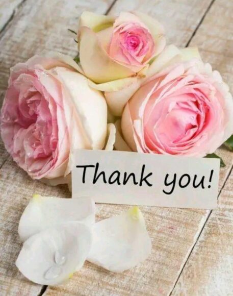 hình ảnh cảm ơn với hoa ý nghĩa