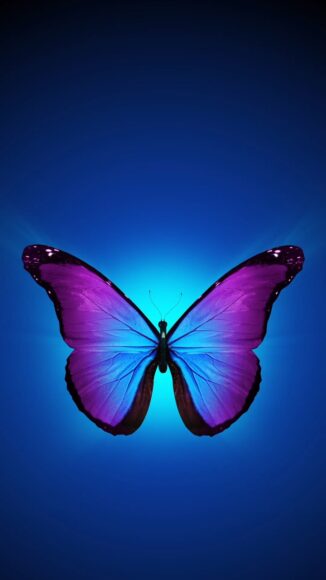 hình ảnh con bướm đẹp phong cách tối giản