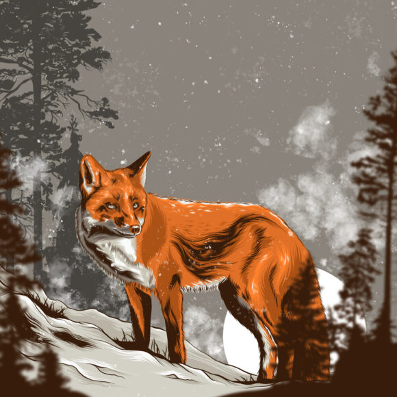 hình ảnh con cáo đỏ trong tranh vẽ