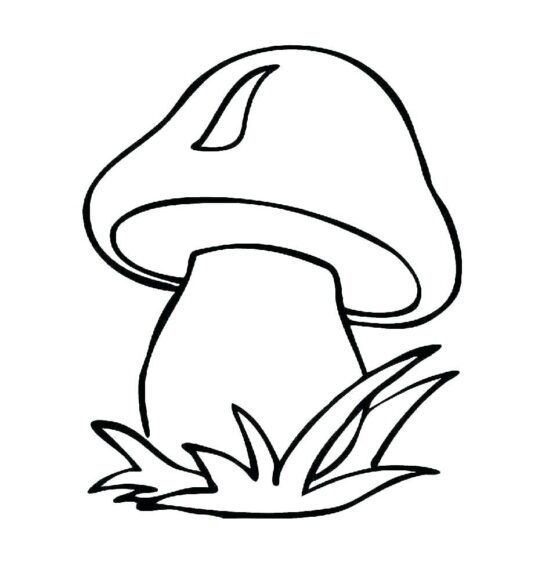 Hình vẽ cây nấm dành cho bé 3 tuổi tập tô