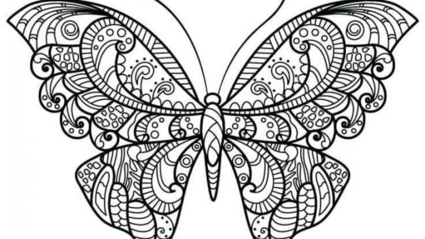 Tranh tô màu con bướm xinh dành cho bé gái 7 tuổi tập tô