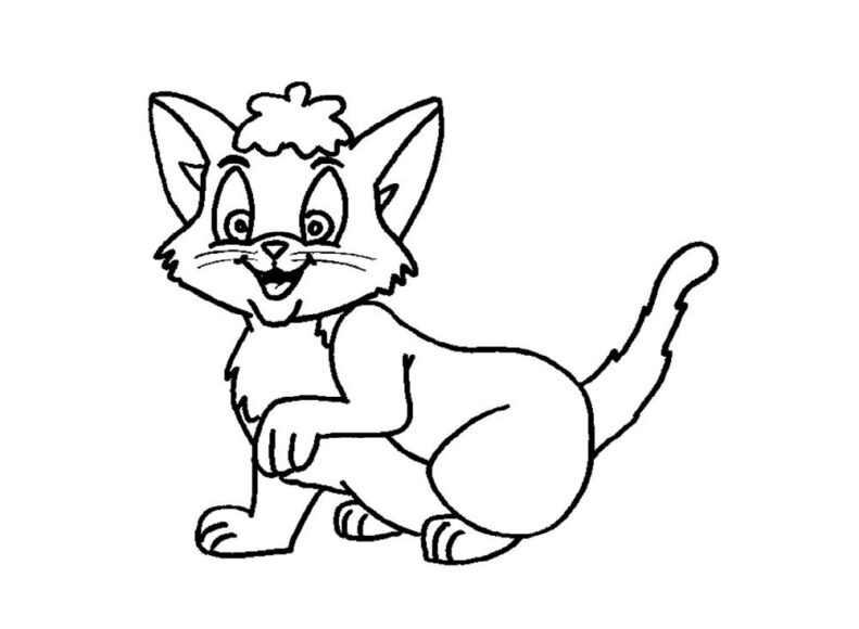 Tranh tô màu con mèo dành cho bé 3 tuổi