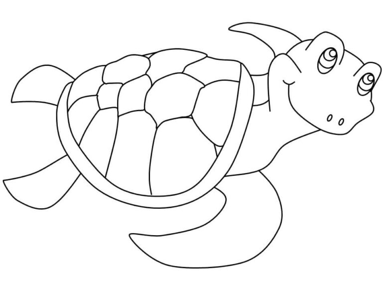 Tranh tô màu con rùa dành cho bé 3 tuổi