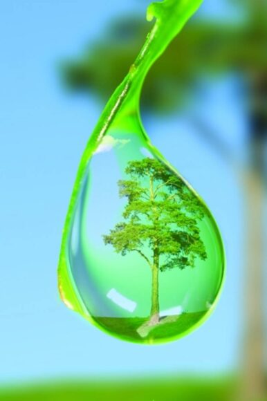 ảnh giọt nước phản chiếu đẹp nhất