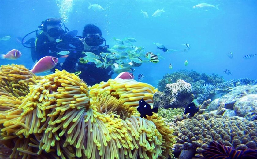 bức ảnh Hòa vào thiên nhiên - Nguyễn Tiến Dũng