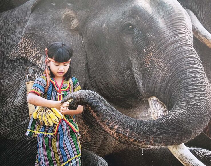hình ảnh đẹp THân Thiện - Tôn Thất Tuấn Ninh