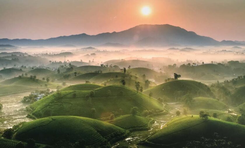 hình ảnh đẹp Việt Nam - tác phẩm Đón Nắng