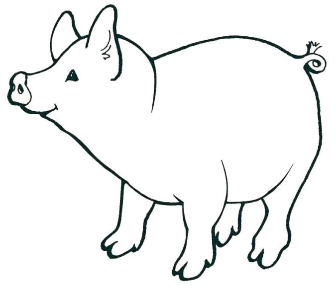 Tranh tô màu con lợn có cái mõm dài