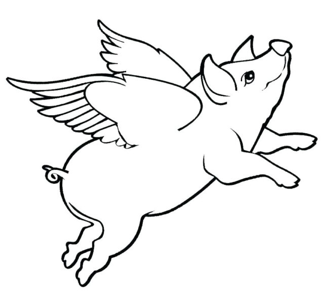 Tranh tô màu con lợn có đôi cánh bay như thiên thần