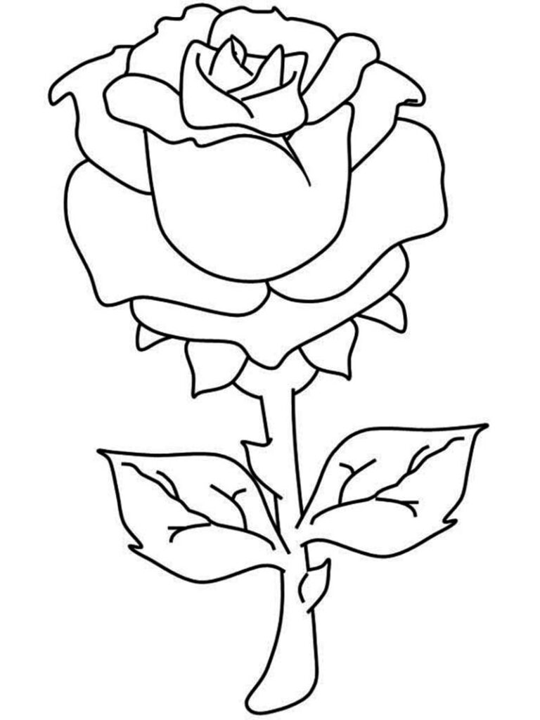 Bụi hoa hồng png  PNGEgg