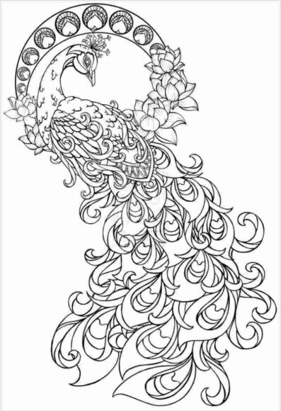 Tranh tô màu người lớn hình con công