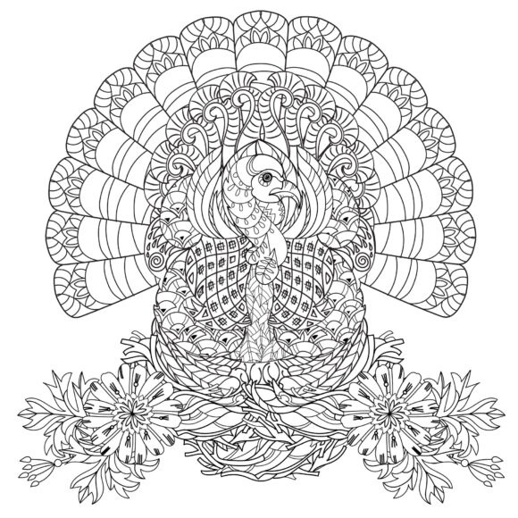 Tranh tô màu người lớn hình con công xoè đuôi