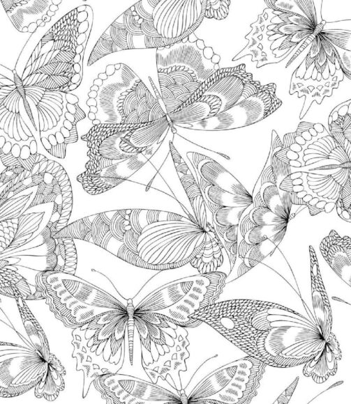 Tranh tô màu người lớn hình những con bướm hoa đẹp