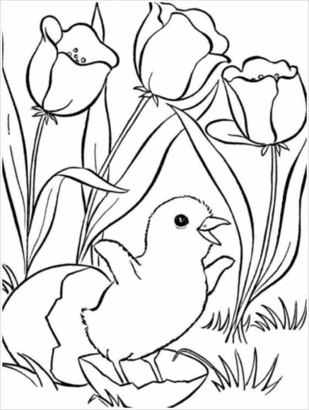 Tranh tô màu vườn hoa và gà con vừa nở
