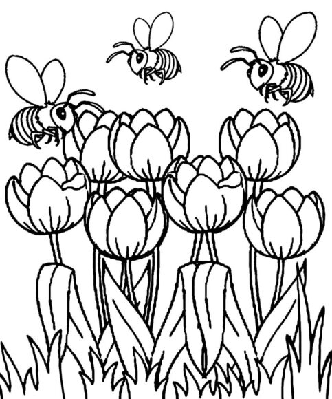 Tranh tô màu vườn hoa và những con ong
