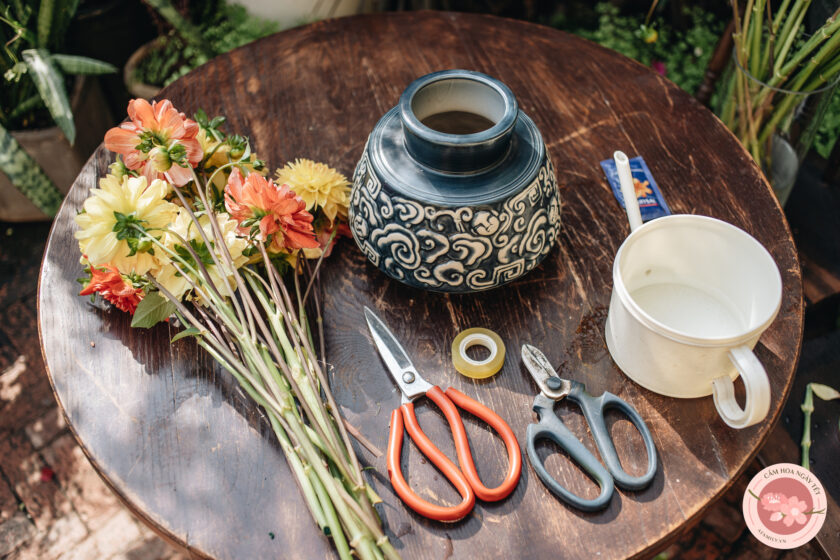 hình ảnh hoa thược dược đẹp nhất