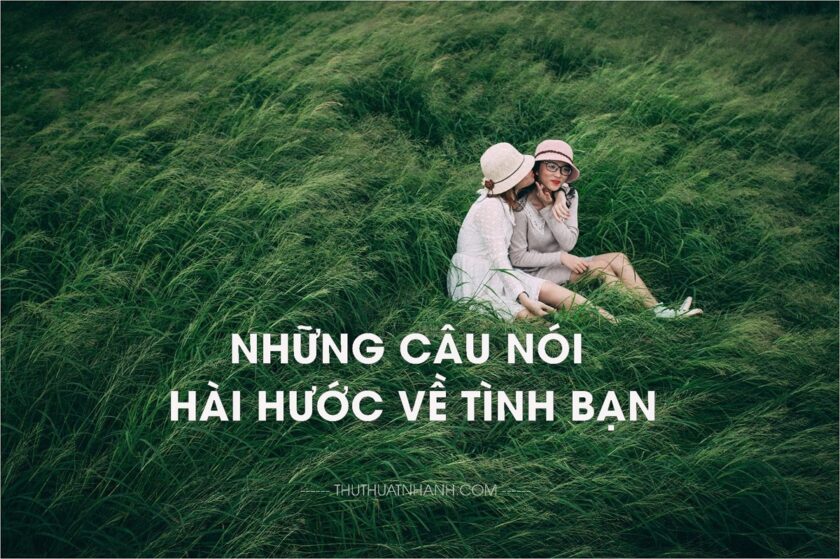 những câu nói hài hước về tình bạn