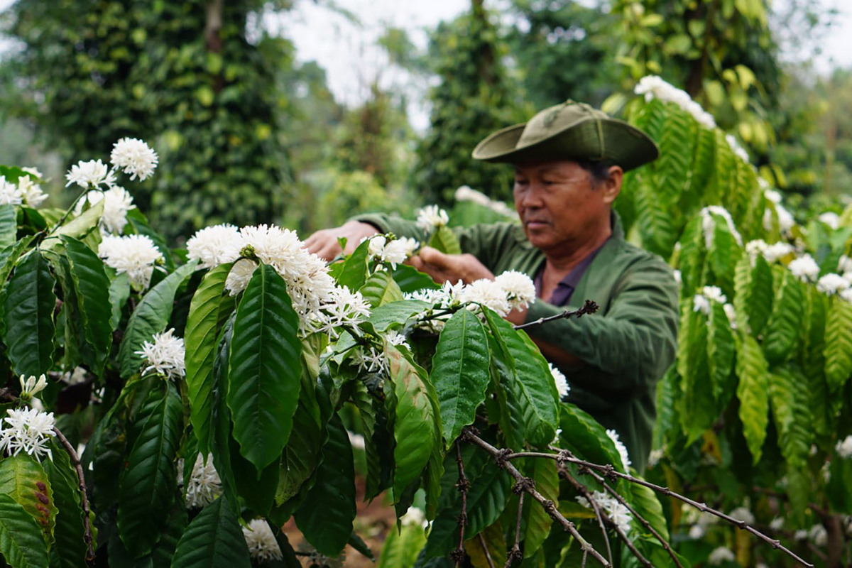 Từng biểu tượng mùa xuân luôn khiến chúng ta liên tưởng đến sự trẻ trung, tươi mới và đầy sức sống. Với những hình ảnh được chọn lọc kỹ lưỡng cùng với vẻ đẹp tinh khôi đặc trưng của mùa xuân, tôi hy vọng sẽ mang đến cho bạn một trải nghiệm tuyệt vời và khoảnh khắc thư giãn sau những ngày làm việc mệt mỏi.