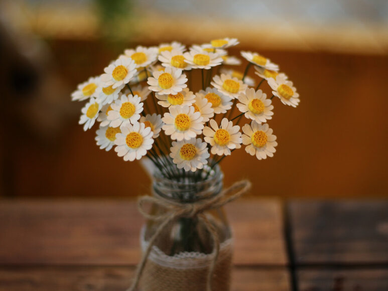 hoa cúc trắng lọ để bàn