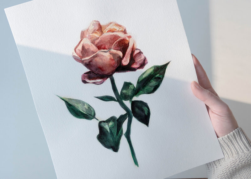 tranh vẽ hoa hồng bằng màu nước