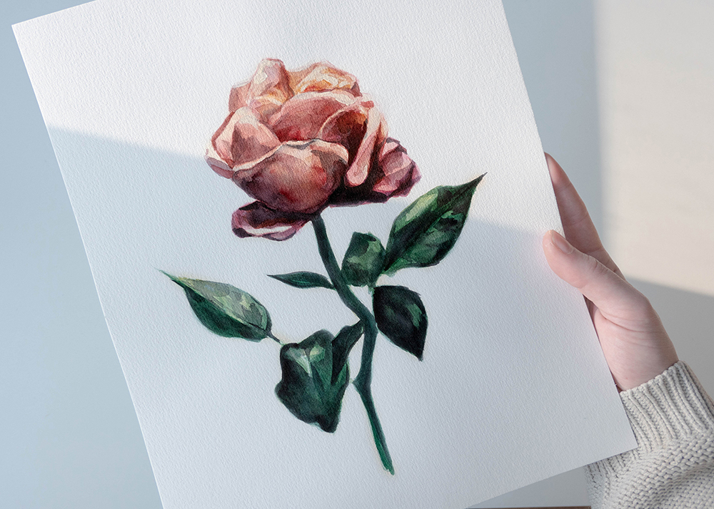 Những hình ảnh hoa hồng vẽ bằng bút chì cực đẹp