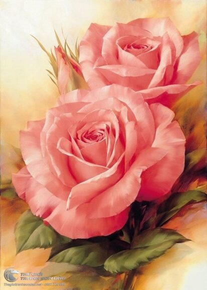 tranh vẽ hoa hồng đẹp tinh tế