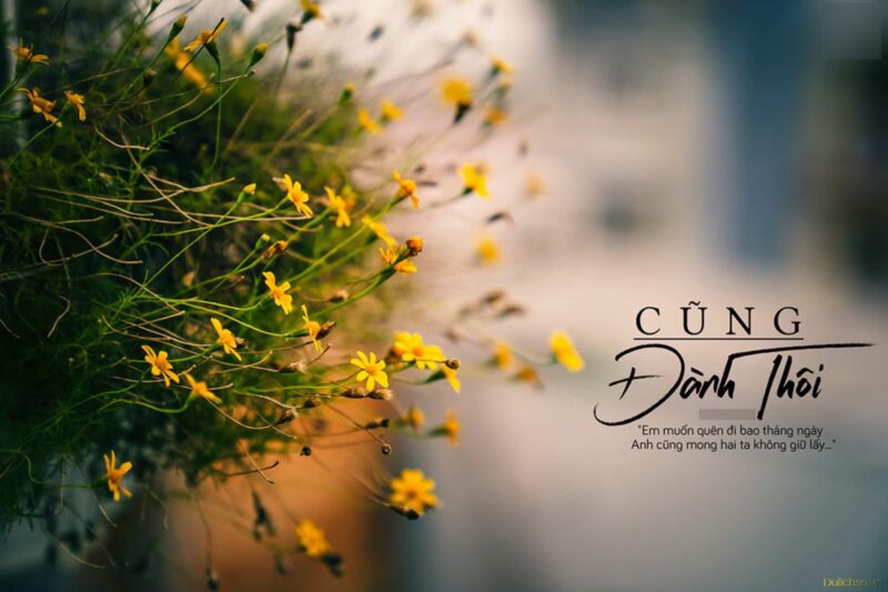 Ảnh chữ đẹp làm hình nền chia tay đẹp