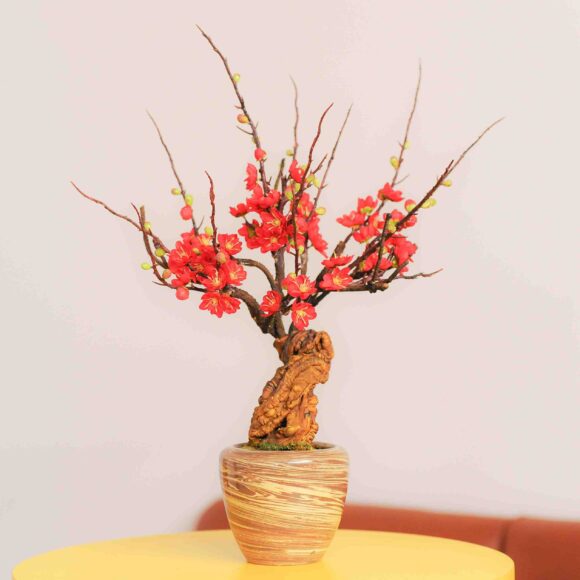 Hình ảnh hoa Mai đỏ cắm lọ