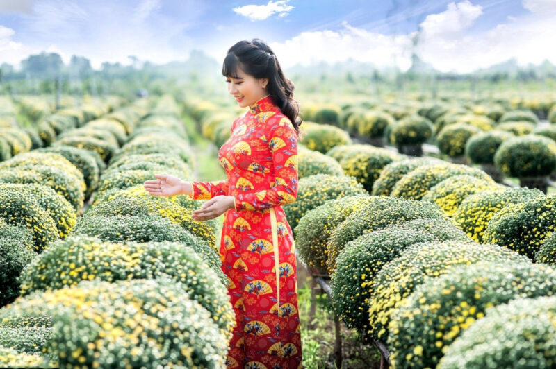 Hình ảnh làng hoa Sa Đéc ngày giáp tết