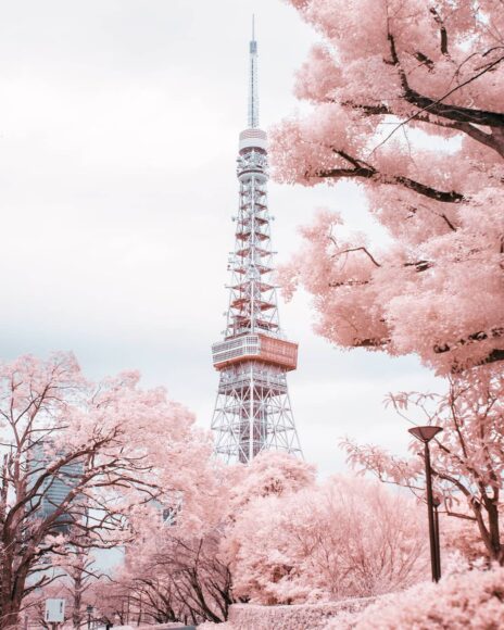 Hình ảnh tháp Tokyo đẹp lãng mạn